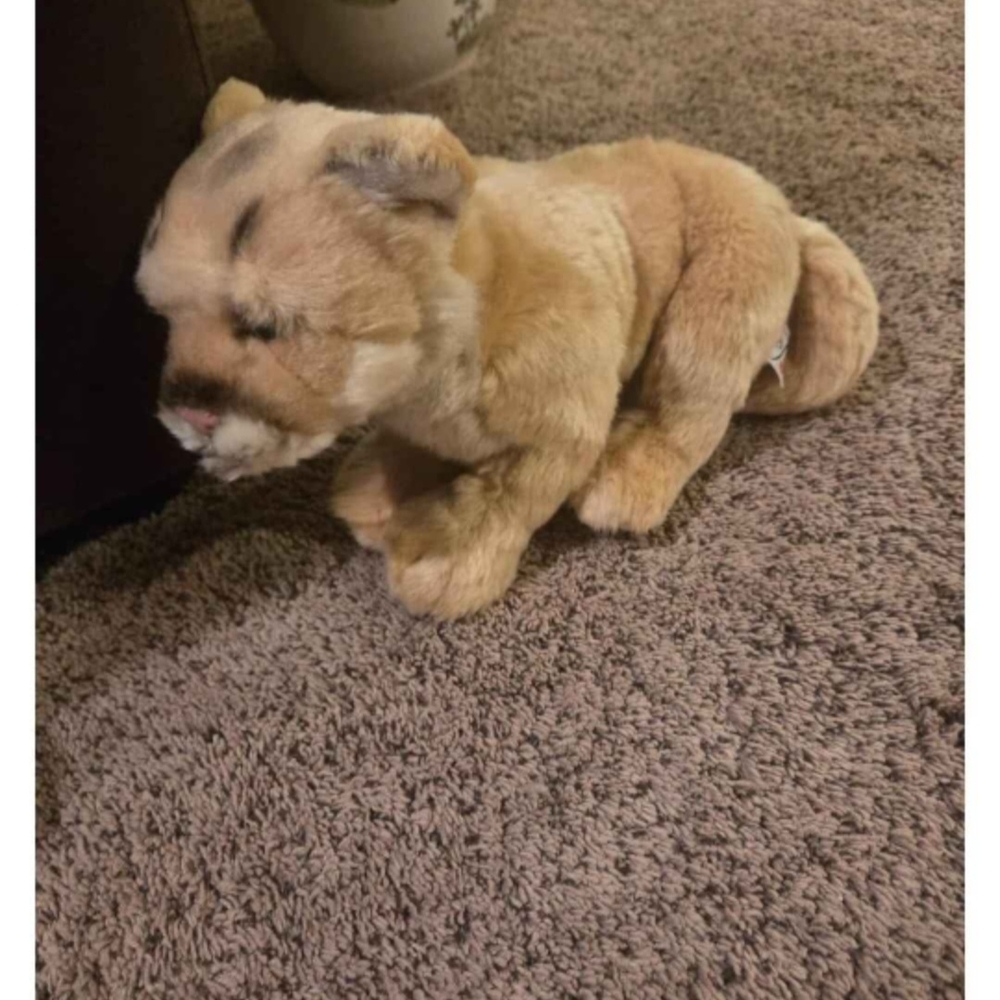 Webkinz Signature Endangered Cougar